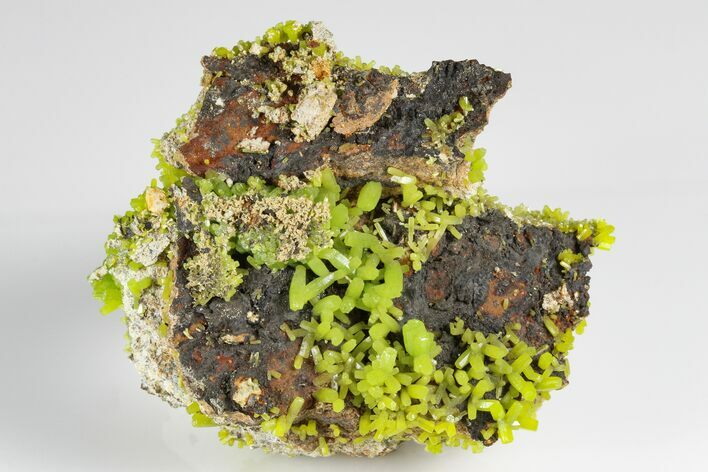 Apple-Green Pyromorphite Crystals on Matrix - China #179841